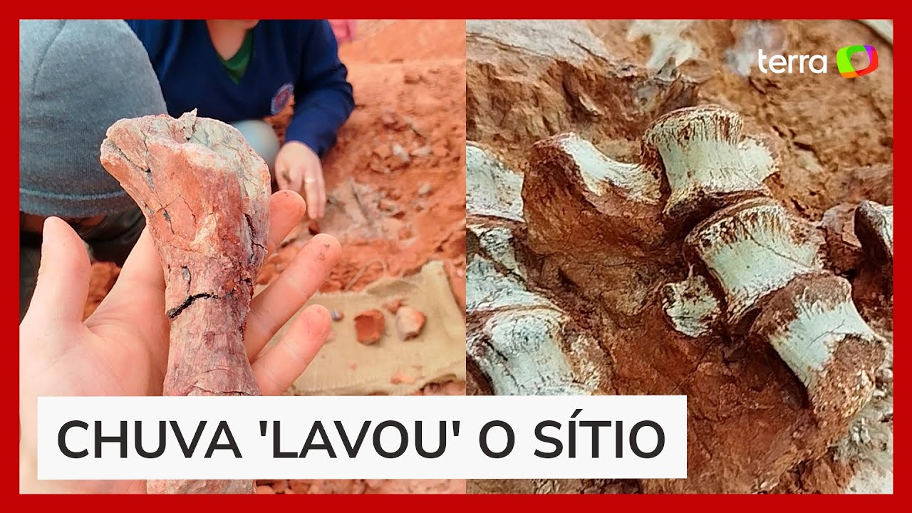 Fóssil de dinossauro é encontrado parcialmente exposto após ação das chuvas no RS