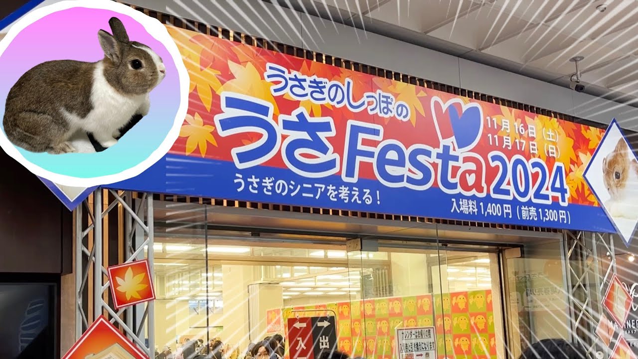 うさフェスタに行ってきました I went to the Rabbit-Festival [n°212]