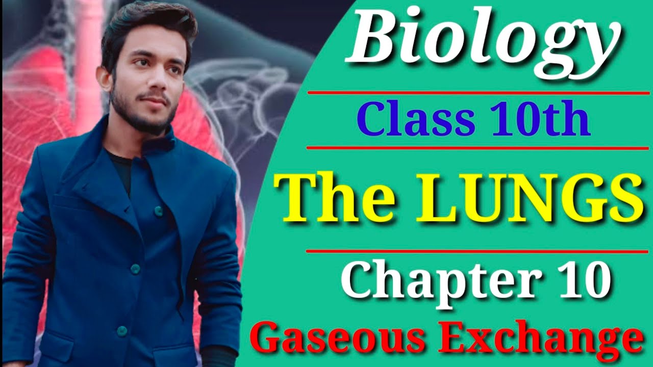 The Lungs | Class 10th - Chapter 10 | Gaseous Exchange | HMS Online