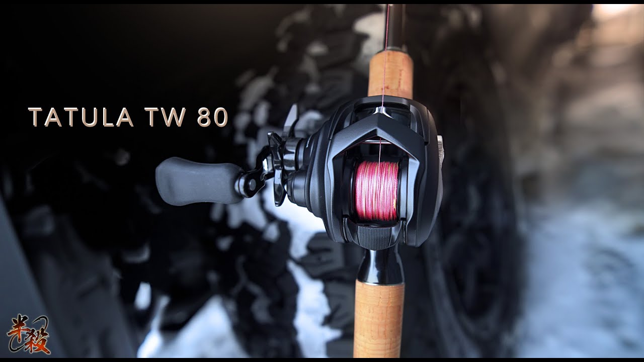 【測評】瑜亮之惑、Daiwa 22 TATULA TW 80 上手評測！（對比 ALPHAS800/800S） #半殺 #路亞 #釣魚
