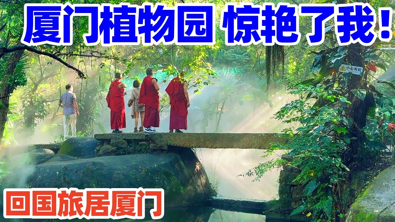 【回国旅居厦门】幸好去了厦门植物园! 5A景区热带雨林园轻雾缭绕, 美得连不爱植物的人都喜欢! 厦门旅游! 厦门景点! 厦门! 厦门自由行! Xiamen Botanical Garden!