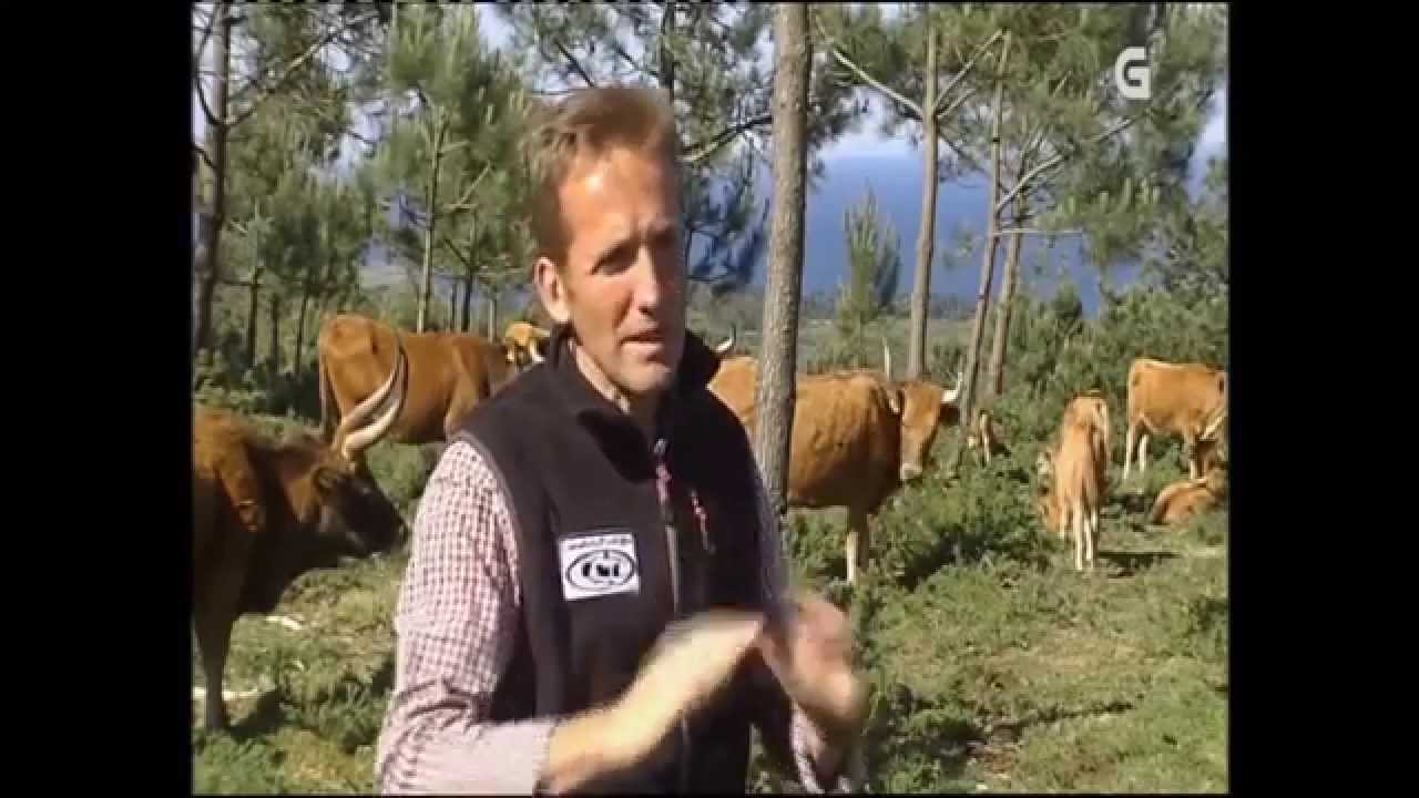 Ganaderia Tierra Celta en TV