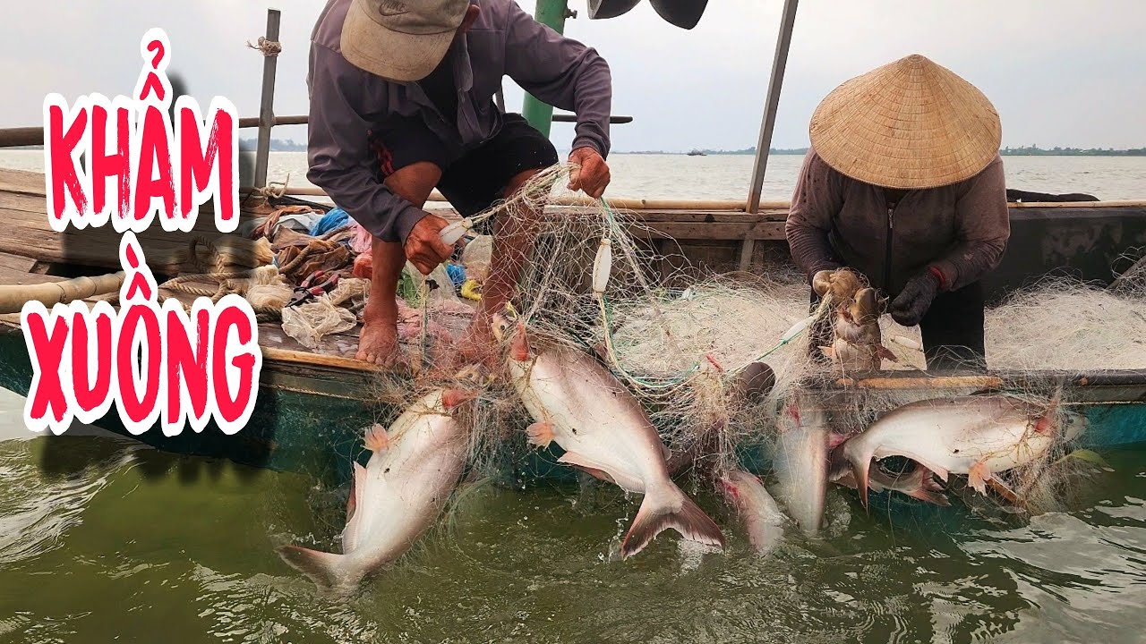 Cuộc Gọi Được Chờ Đợi Mấy Tháng Nay , Dô Bầy Gọi Viện Binh | #66TV #fishing