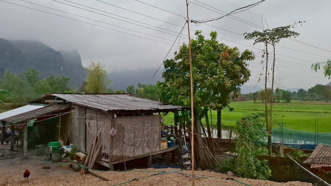วันนี้ฝนตกแต่เช้า บรรยากาศดีมาก...บ้านเฮากะส่ำบ้านเฮานิล่ะ