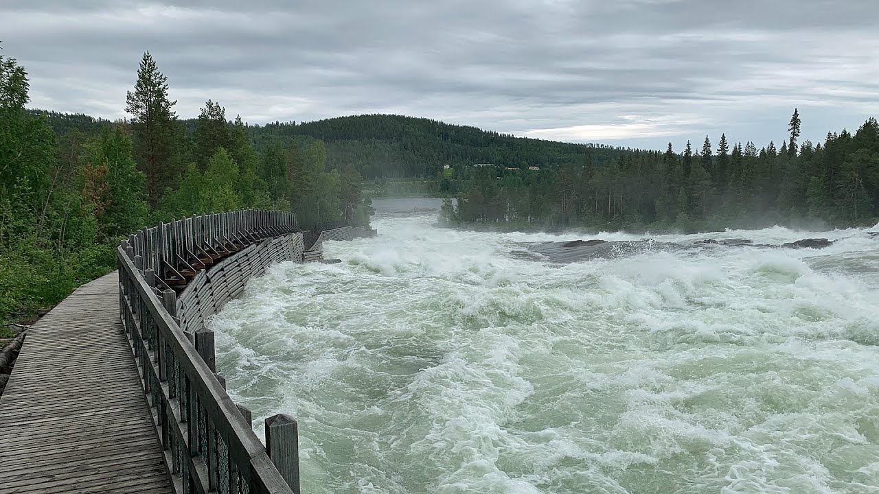 Storforsen, Sveriges största fors - Norrbotten, Sweden