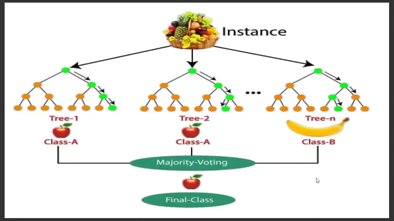 Random Forest Algorithm Explanation in Tamil | Machine Learning Algorithm Explanation