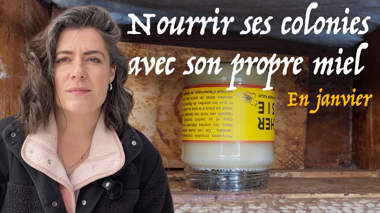 Nourrir ses colonies avec son propre miel #apiculture 