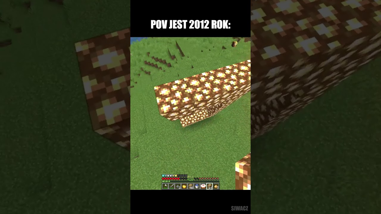KOMENTARZ = BAN  #gry #minecraft #gaming #meme #memes #mc #minecraftbuilding #dexi #piter #survival