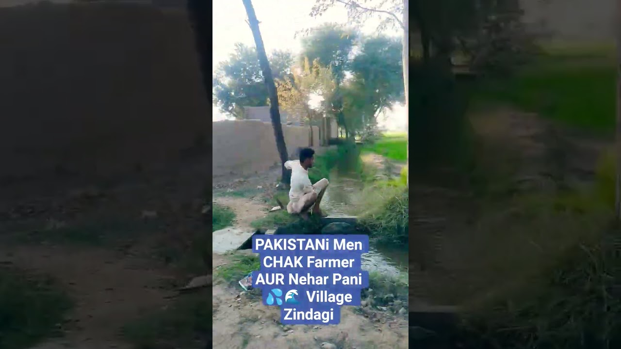 PAKISTANi Man CHAK Farmer AUR Nehar Pani 💦🌊 Village Zindagi Chalta wa Water Stream CUT pa Batha wa☀️