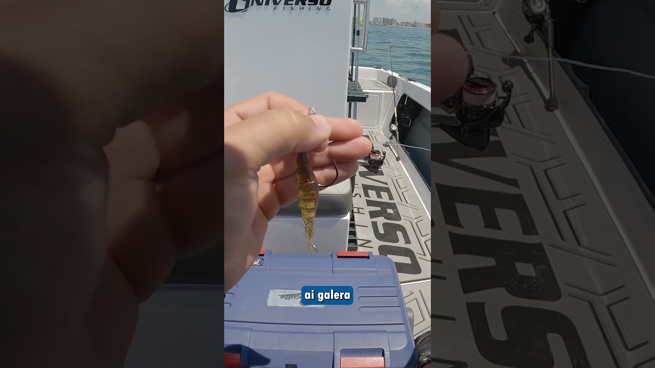 Dica de l&iacute;der para pescar robalos! #pescaderobalo #dicasdepesca #iscaartificial #pesca