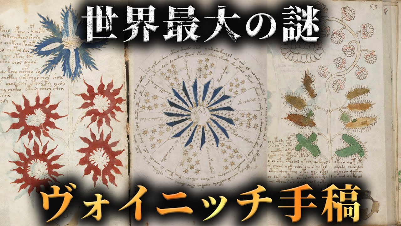 【未解読】100年以上解明できない世界最大の謎「ヴォイニッチ手稿」がヤバすぎた...。【 古文書 未解明 振り返り 】