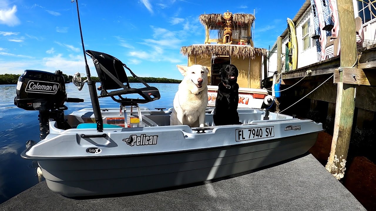 New Pelican Bass Raider