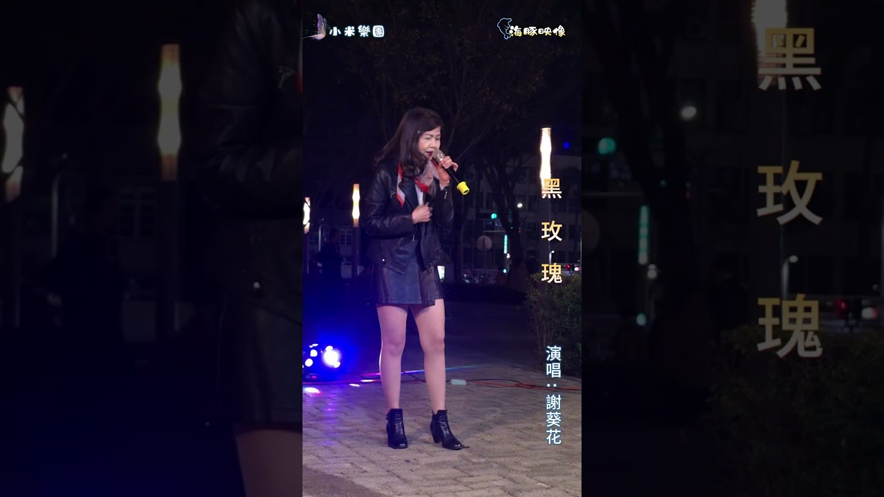 謝葵花 ~ 黑玫瑰  ( 方瑞娥  歌曲 )  街藝 謝葵花 演唱   2026.2.11  ( 小米樂團 )  文化公園 B 點  ~海豚映像~