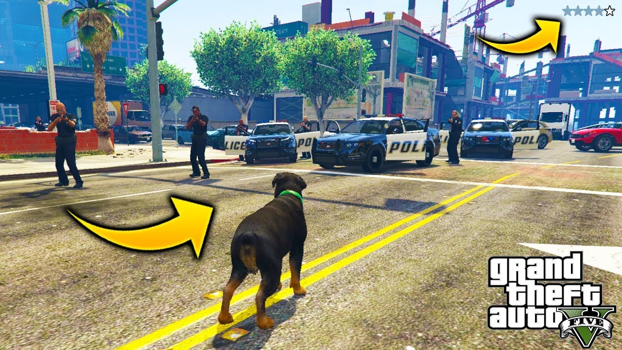 ¿Que Pasa Si Chop Comete Un Crimen Tendra Estrellas y Lo Arrestaran? GTA 5