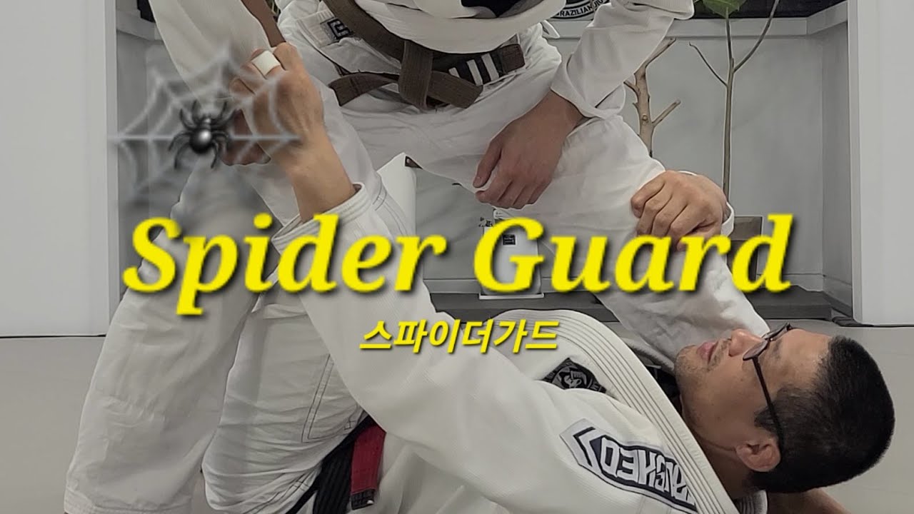 스파이더가드 Spider Guard (기술도움 : 김태운) #스파이더가드 #SpiderGuard