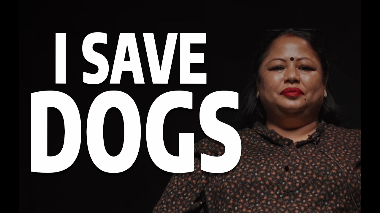 I’ve Rescued 3,000+ Stray Dogs  @TheUntold_Akathit