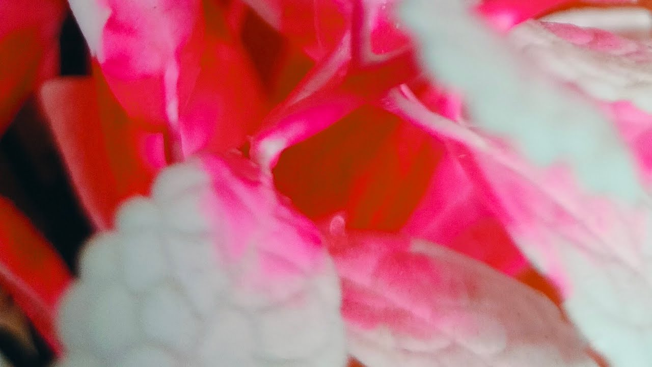 आप सभी का स्वागत है मेरे लाइव स्ट्रीम में@The life & foodie corner with Munmun is live