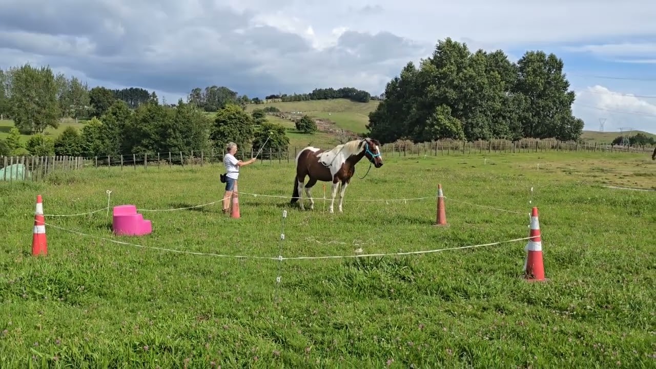 One position change, completely different horse