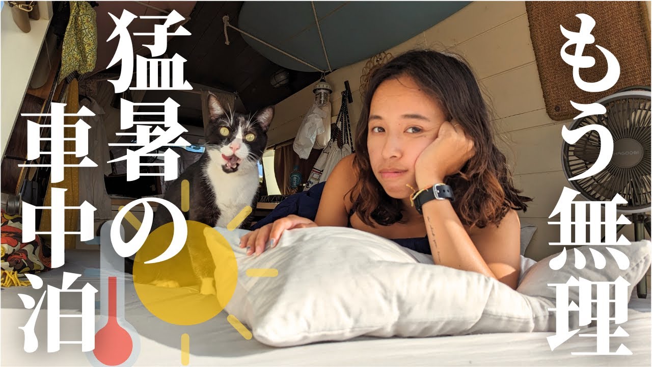 【真夏の車中泊】結局、〇〇しか勝たん。猫と車に住む夫婦の暑さ対策。