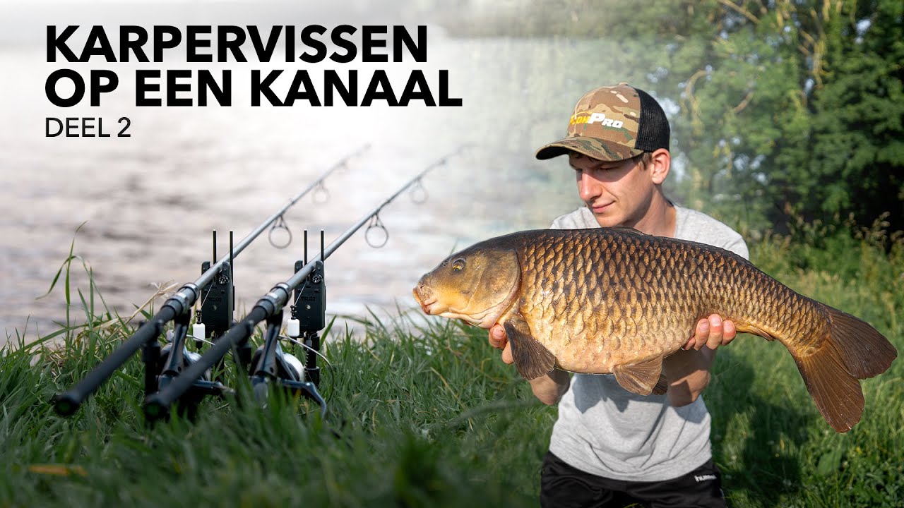 Karpervissen op een kanaal in nederland | deel 2