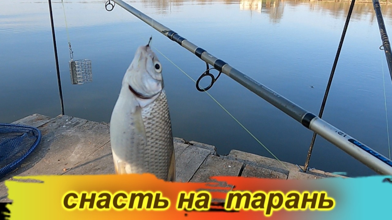 Снасть на весеннюю тарань своими руками