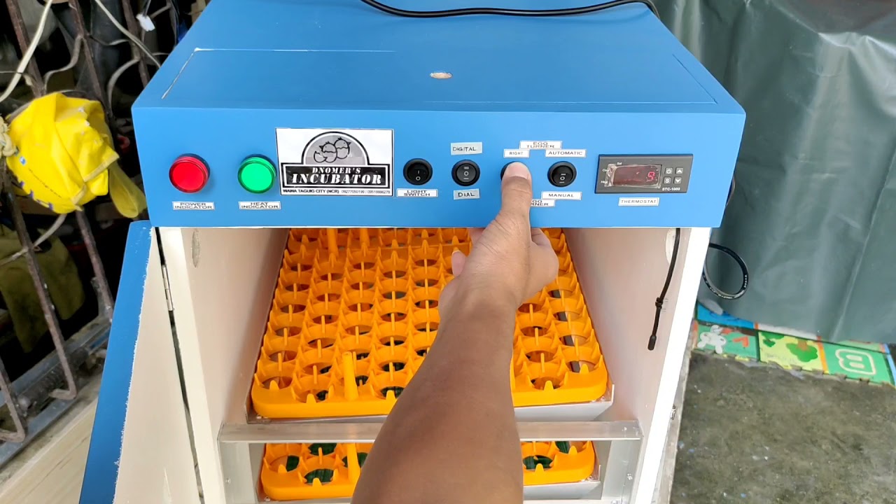 AUTHOMATIC EGG INCUBATOR 216 SETTER WITH HATCHER