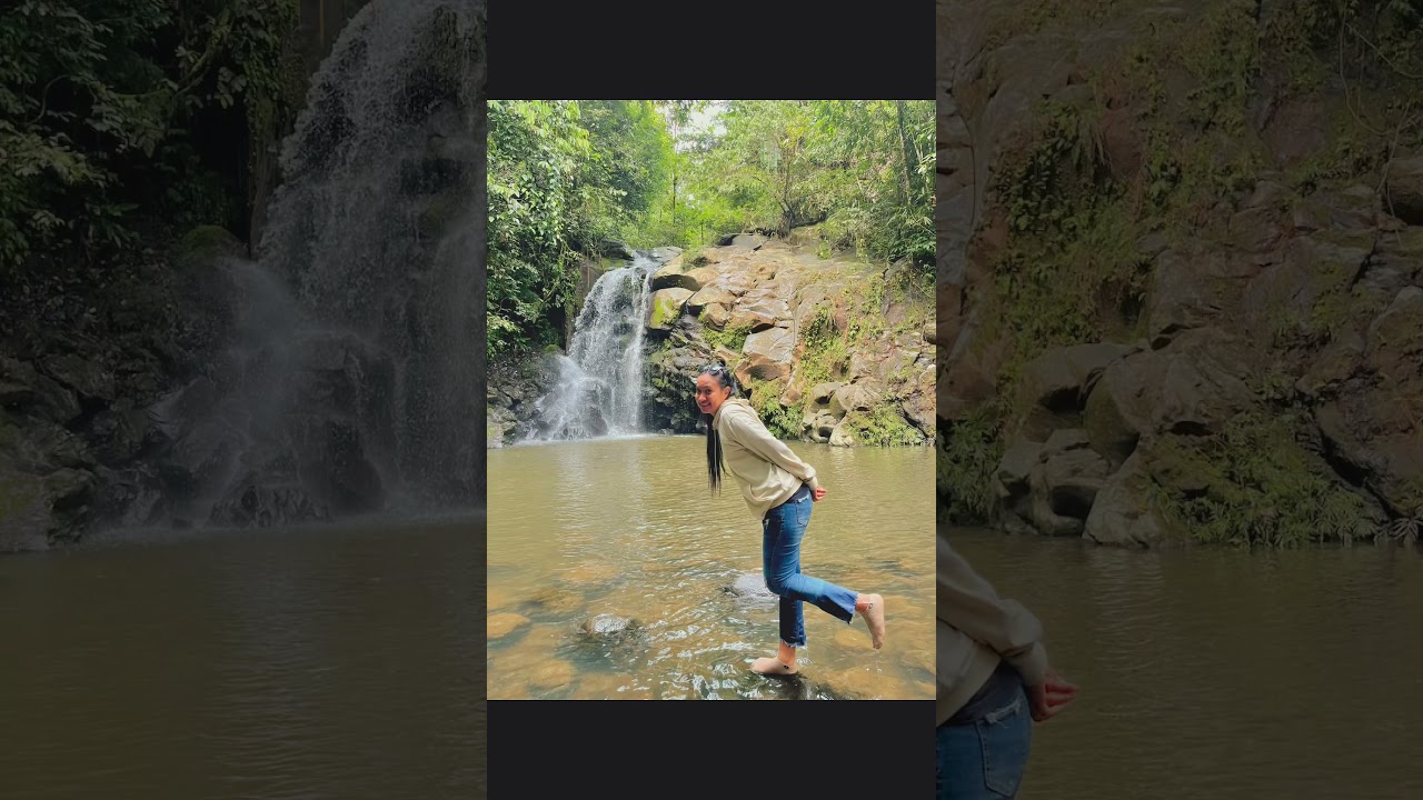 Jelajahi Hutan Halmahera 