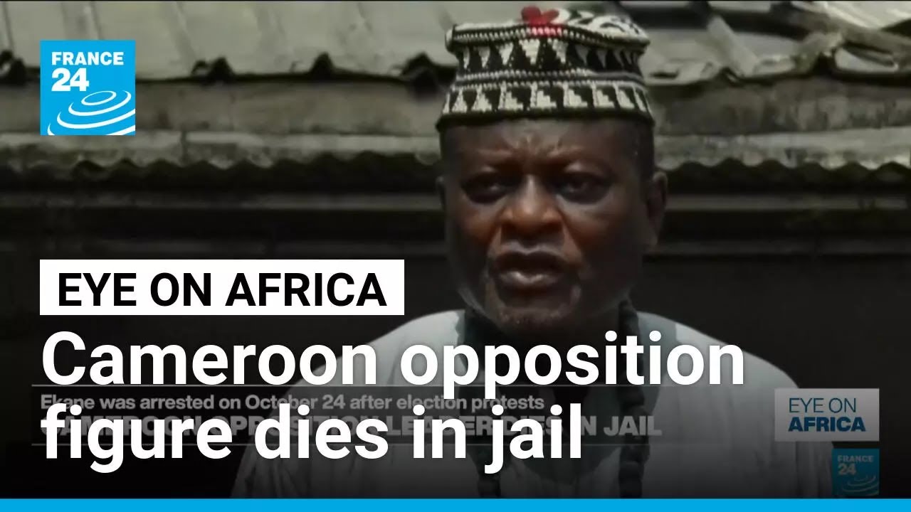 Cameroon opposition figure Anicet Ekane dies in detention &bull; FRANCE 24 English