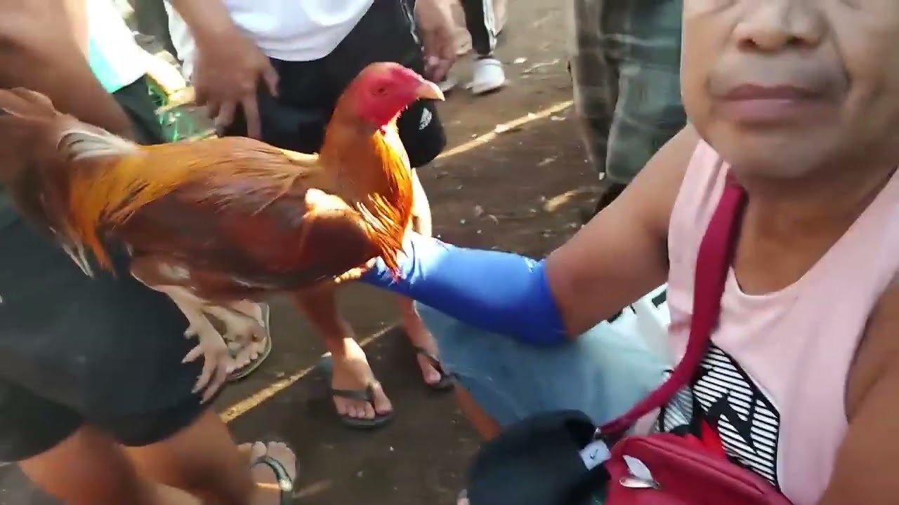 tatay tony bagsak presyo na ulit basta tinaghali sya!.