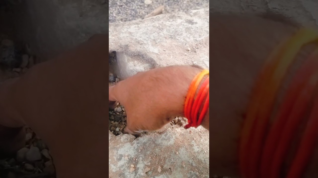 ऊपर से नीचे तक होता रहता था भ्रष्टाचार कांग्रेस के समय ।