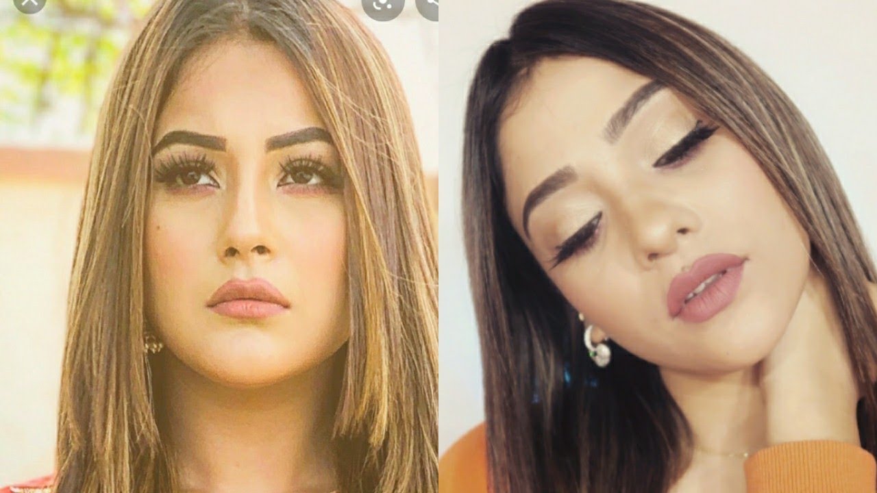 shehnaz gill|| bigboss13|| inspired look