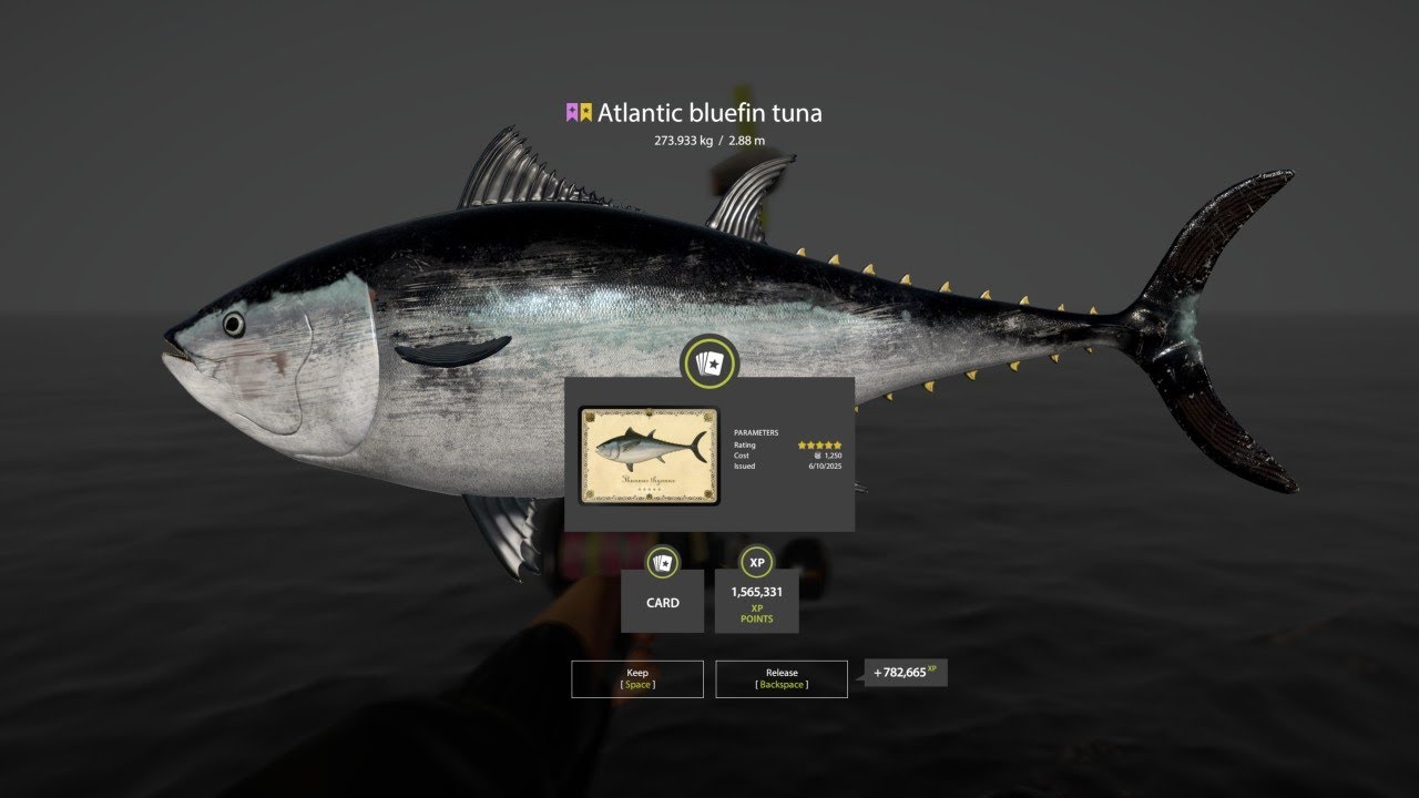 Russian Fishing 4 Trophy Atlantic Bluefin Tuna 273kg