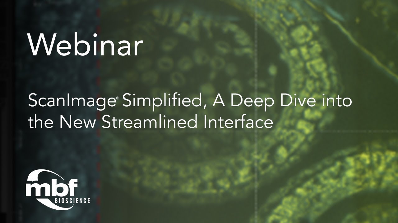 Webinar: ScanImage Simplified — A Deep Dive into the New Streamlined Interface