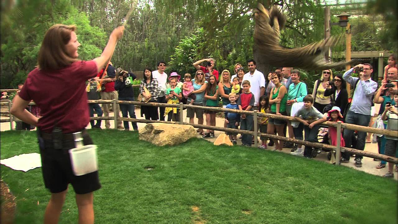 Summer Safari at the San Diego Zoo Safari Park