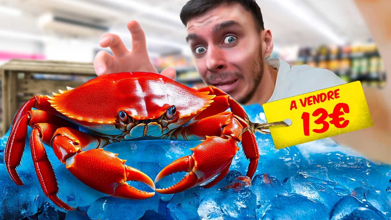 J'adopte un CRABE de compagnie !