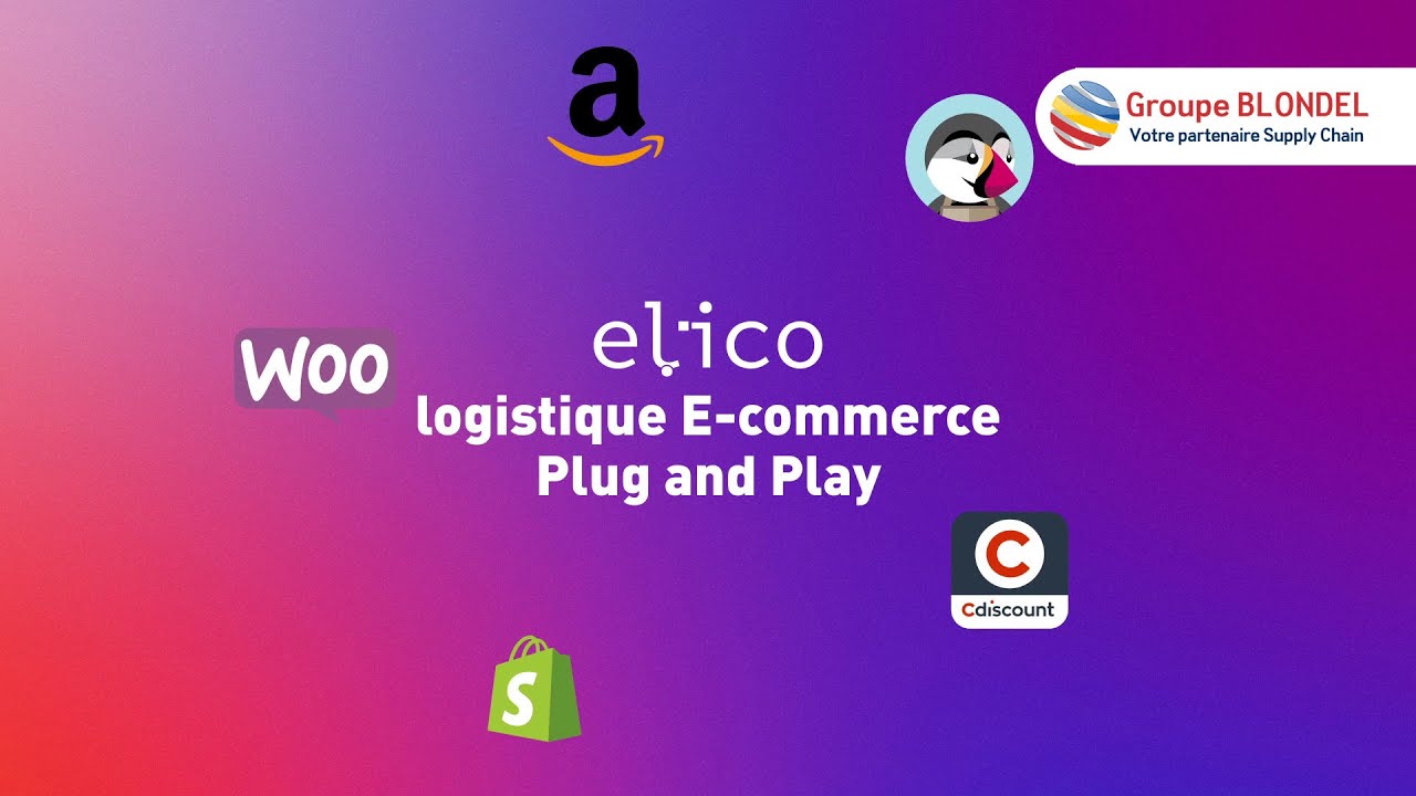 Groupe BLONDEL - Elico : la logistique e-commerce plug and play