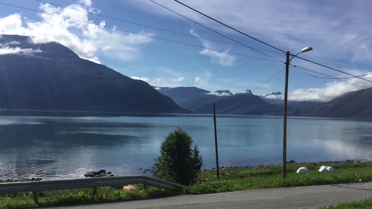 7. november 2020 Skog, Rolløya, Ibestad