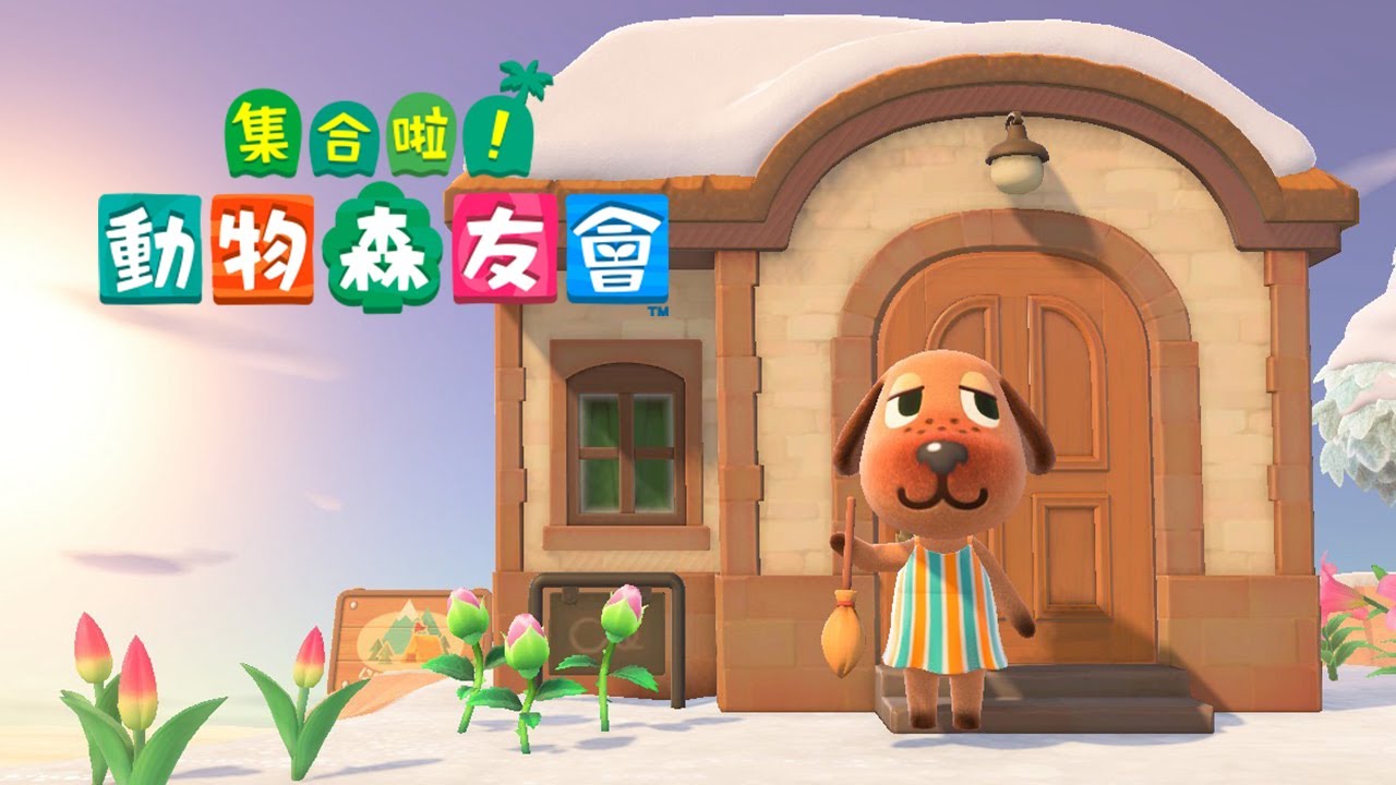 【 動森 Animal Crossing 】2026才在找第八位島民～存了55張機票，讓我帶回心儀的島民吧！