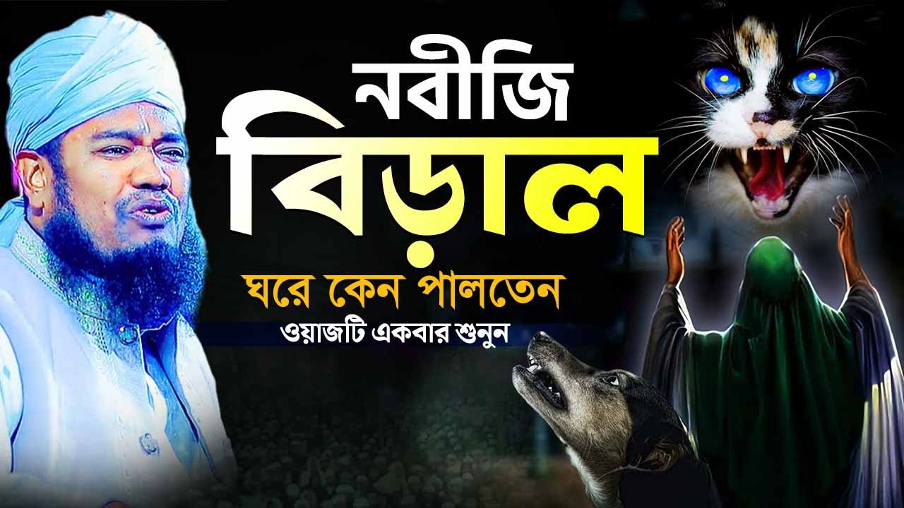 নবীজি বিড়াল ঘরে কেন পালতেন ওয়াজটি একবার শুনুন | ক্বারী রুহুল আমিন সিদ্দিকী