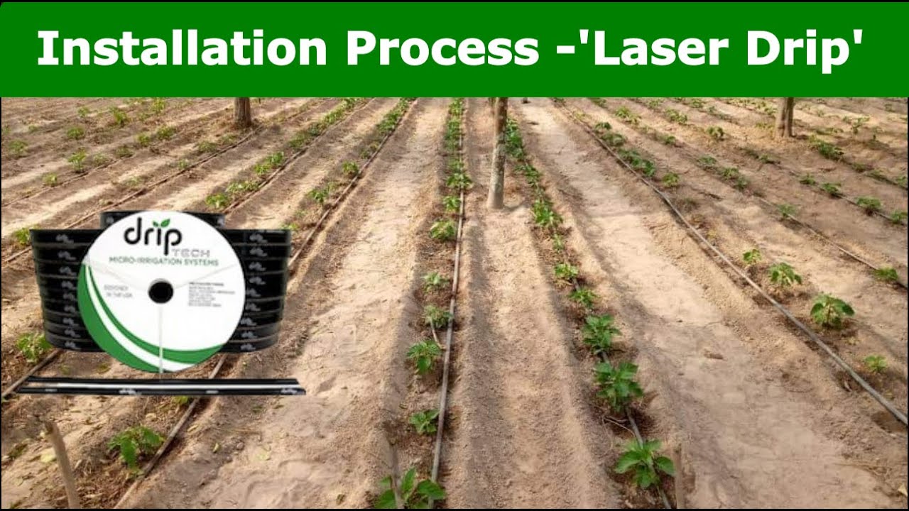 Laser Drip Irrigation System Installation.