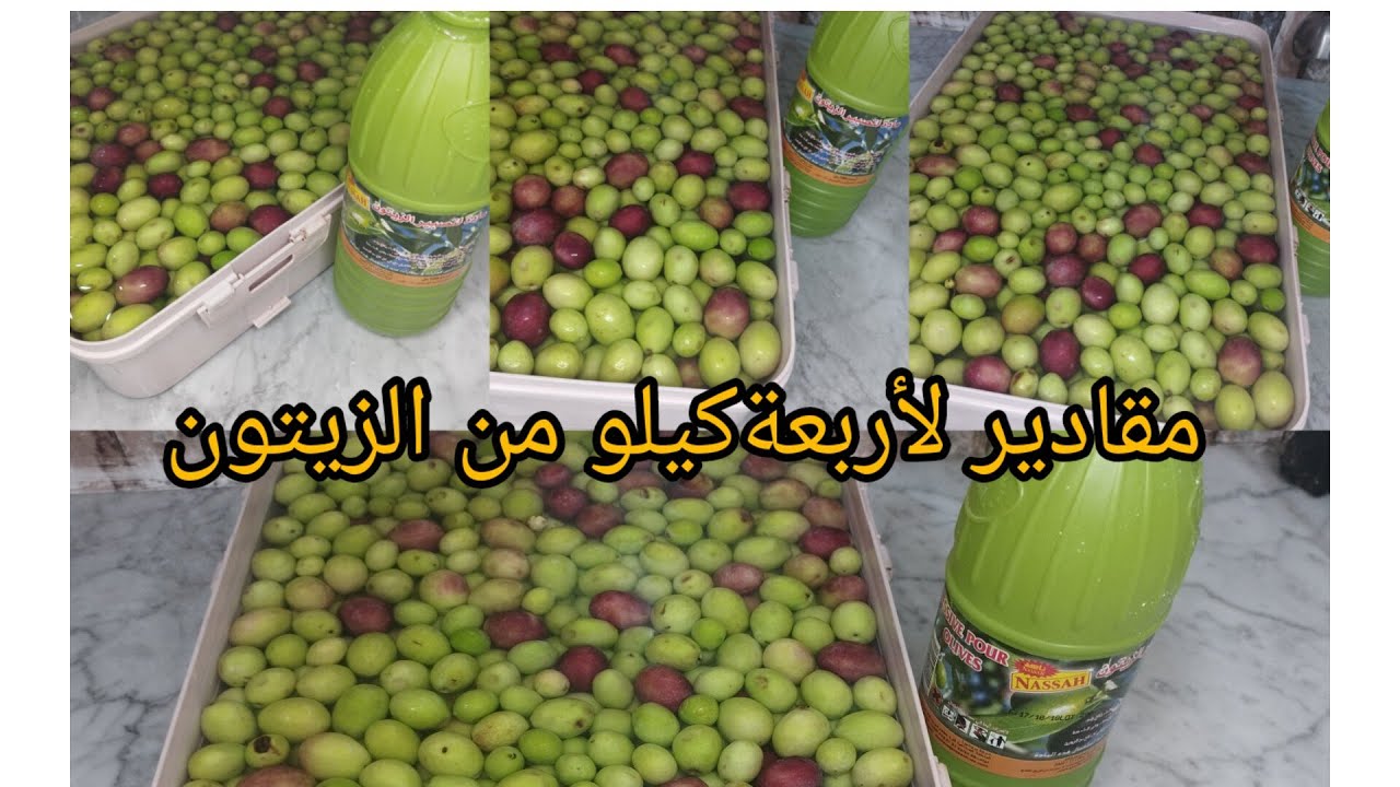 كيفية ترقيد الزيتون بالطريقة الكيميائية و يجي بزاف بنين 🫒