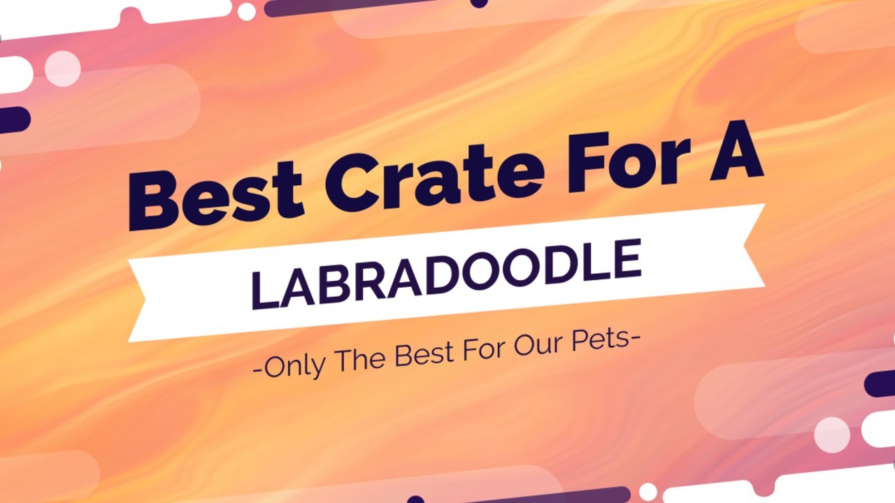 Best Dog Crate For Labradoodles