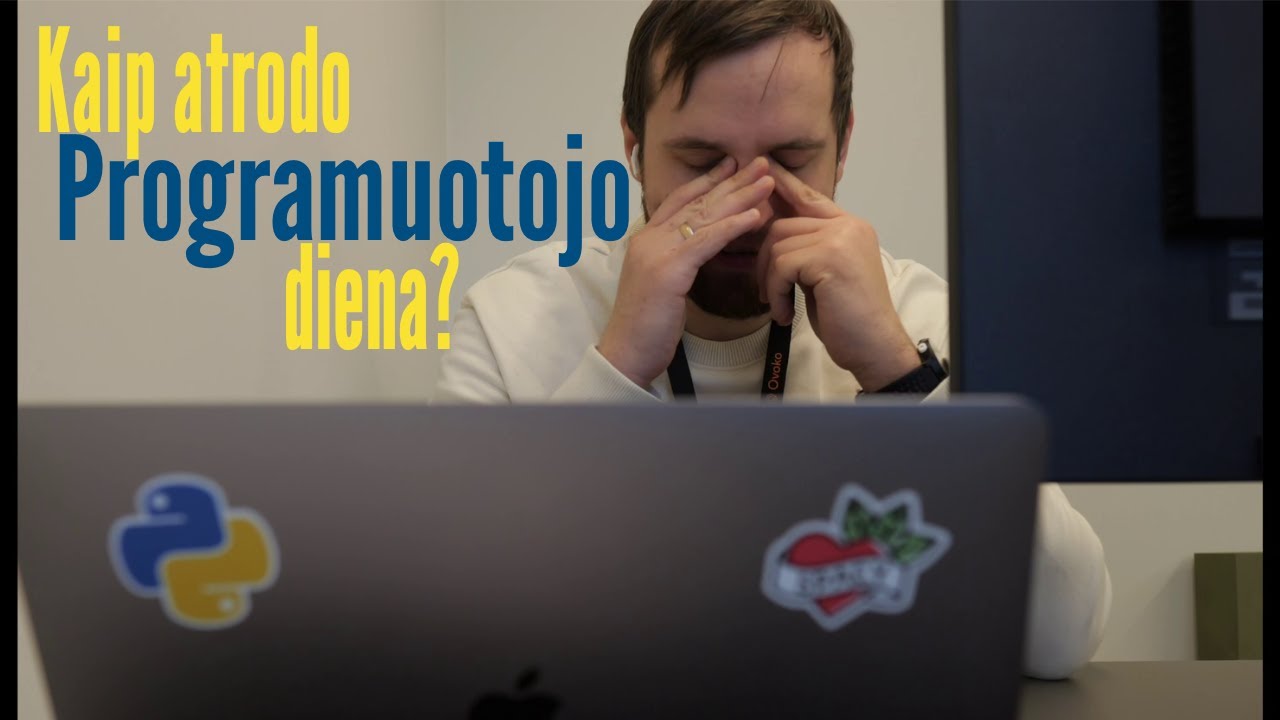 Kaip atrodo Programuotojo diena?