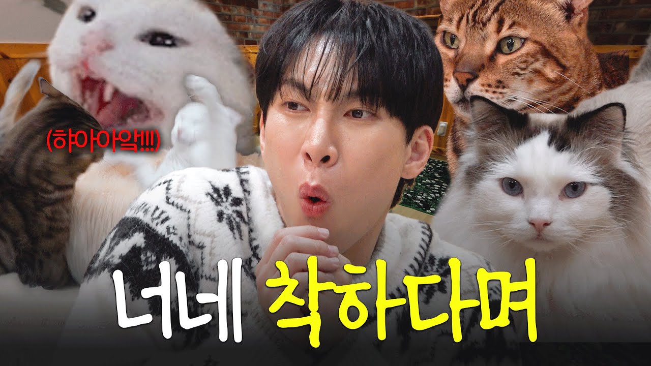 EN) 인간 고양이 서은광의 리얼 고양이 본진 방문