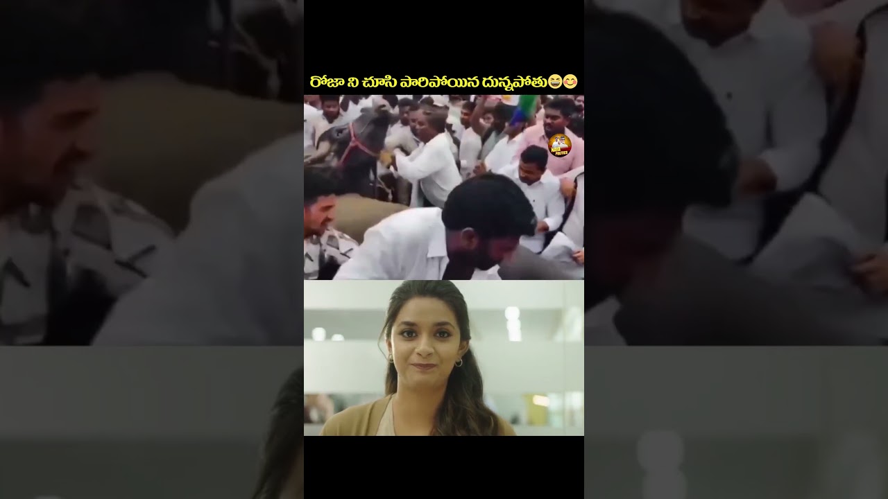 రోజాని చూసి పారిపోయిన దున్నపోతు#ysjagan #ysrcp #rkroja #viralshort #tdp #cbn #ytviral #troll #comedy