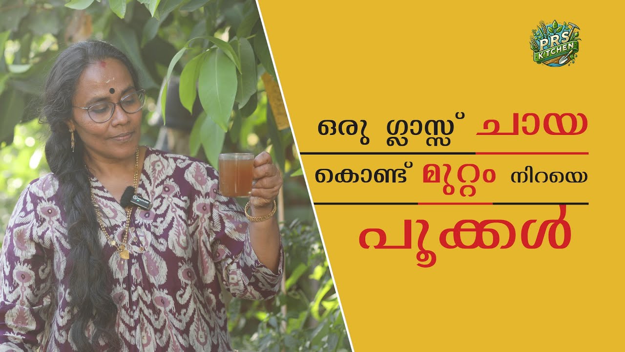 ഒരു ഗ്ലാസ്സ് ചായ കൊണ്ട്മുറ്റം നിറയെ പൂക്കൾ | Home Farming Tips Malayalam | Prs Kitchen