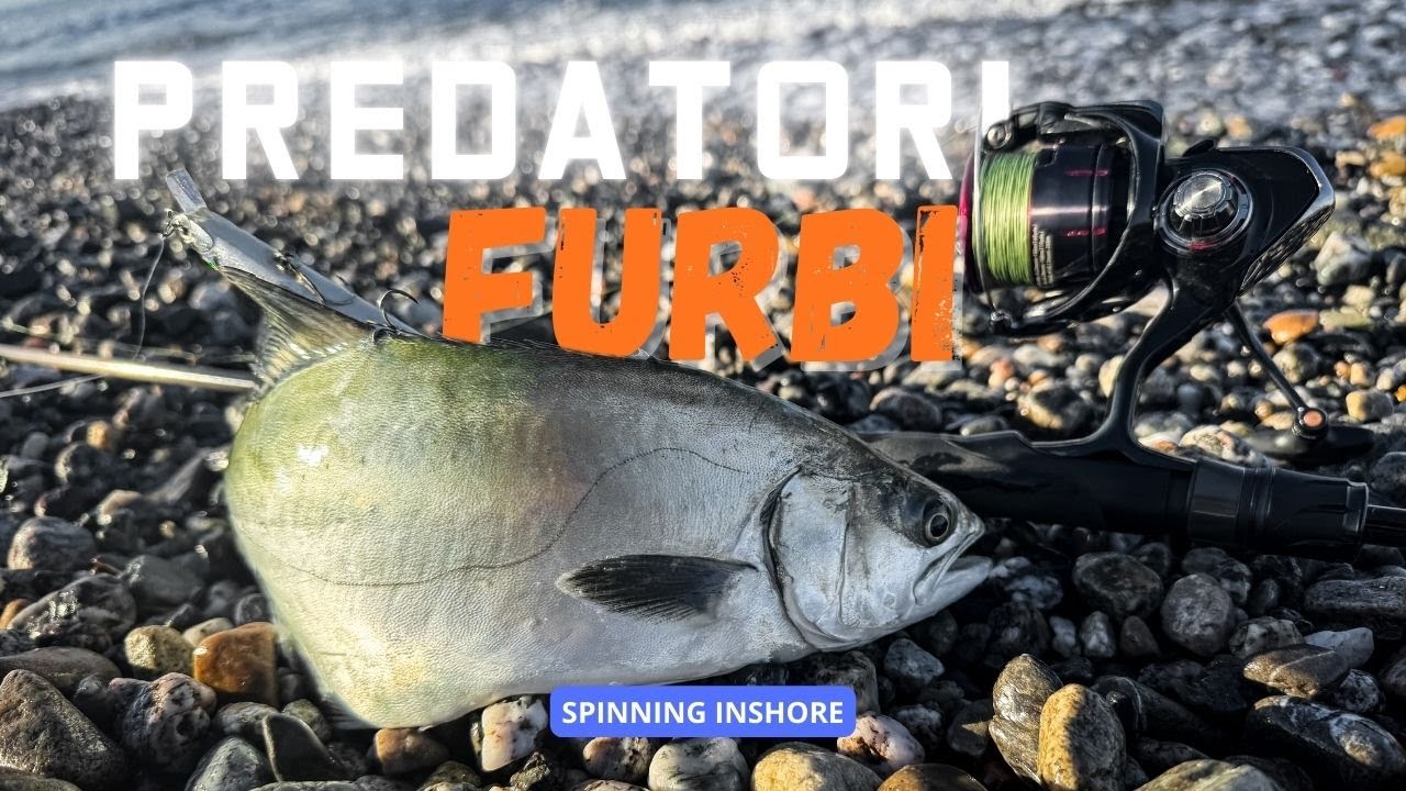 Spinning medio leggero VS Predatori FURBACCHIONI! ⚔️ Attacchi, inseguimenti e strategia
