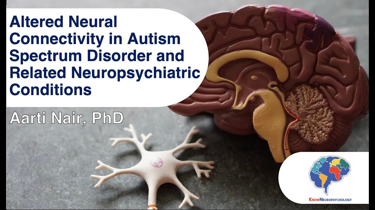 Altered Neural Connectivity in Autism Spectrum Disorder and Related Neuropsychiatric Conditions