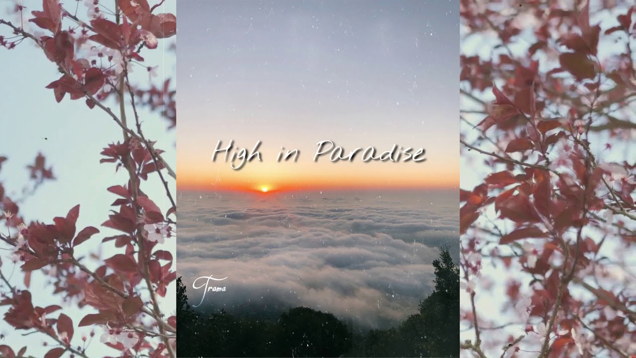 High in Paradise (Official Audio)