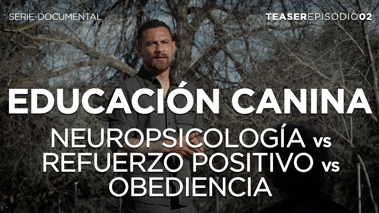 NEUROPSICOLOG&Iacute;A vs REFUERZO POSITIVO vs OBEDIENCIA. Teaser del E02 de la serie 